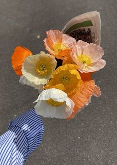 キラキラした世界を見てみたくて
