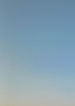 りゅーのお話