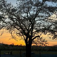 Jinxさんのアイコン画像