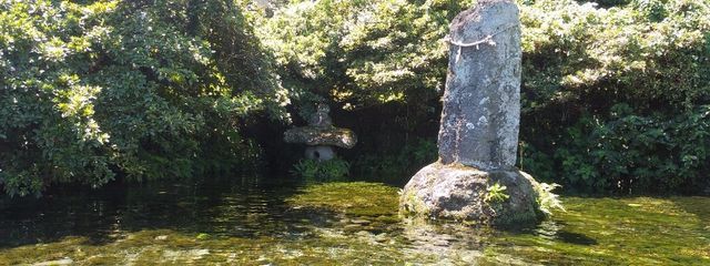 ただの読書家さんの壁紙画像