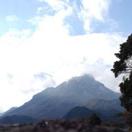 ただの読書家さんのアイコン画像