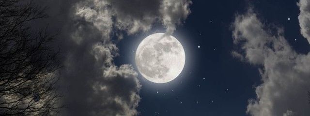 白稀さんの壁紙画像