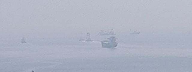 海月と深海で。さんの壁紙画像