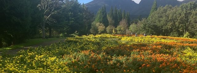 risuさんの壁紙画像