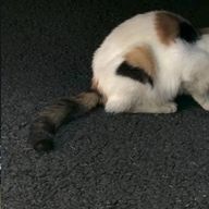 ︎︎さんのアイコン画像