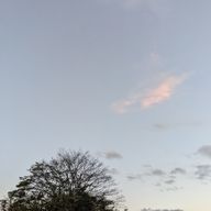 リア@受験生故投稿しない(たぶん4月まで)さんのアイコン画像