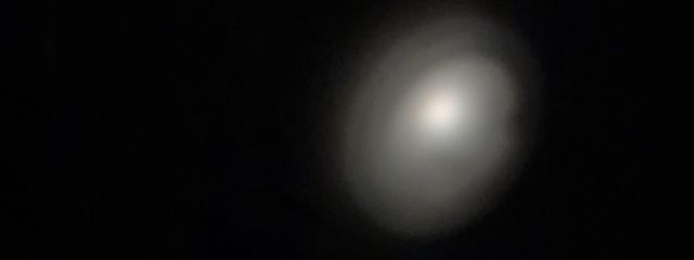 とぅーん　。　🌙🐇　さんの壁紙画像