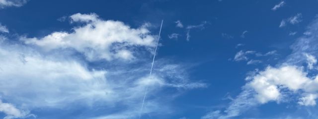 ジンべ（ ･_______･ ）さんの壁紙画像