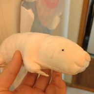 翡翠さんのアイコン画像