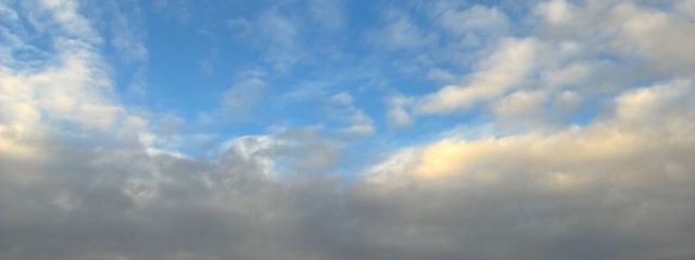 鬱猫さんの壁紙画像