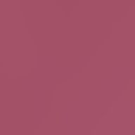 りゃさ🏴‍☠️☄️🌸さんのアイコン画像