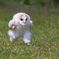 田中さんのアイコン画像