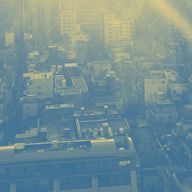 シェイカさんのアイコン画像