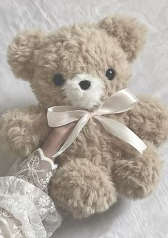 そのぬいぐるみ、私です