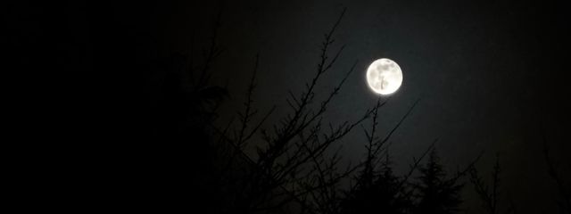 星屑さんの壁紙画像