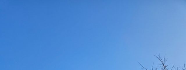 お麩さんの壁紙画像