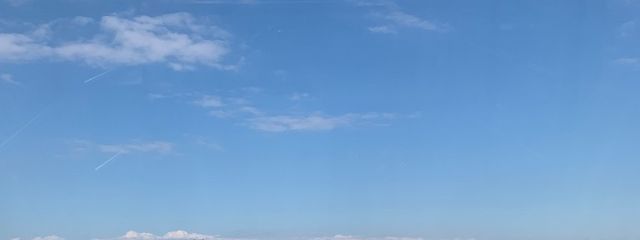 りんさんの壁紙画像