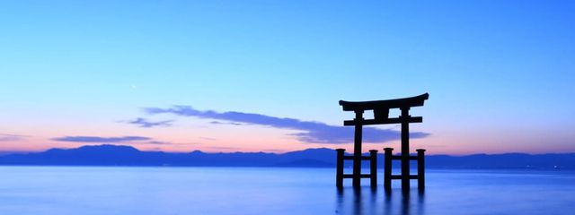 ~透~さんの壁紙画像