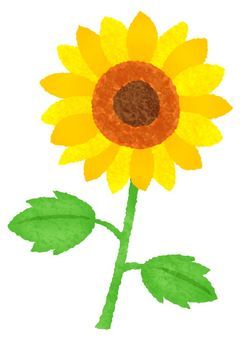 天才⭐︎ひまわり精神病院