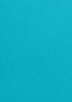 BLUE LOOK たんぺんしゅー