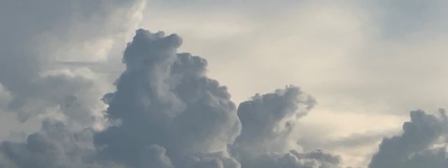 体調不良さんの壁紙画像