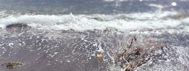🌙胡麻海月🪼さんの壁紙画像