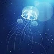 🌙胡麻海月🪼さんのアイコン画像