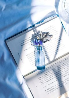 君はメロすぎるけど、僕はチョロすぎる