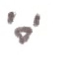 キックさんのアイコン画像
