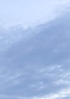 ご依頼など