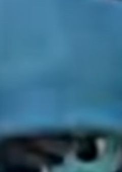 こっちについてきな