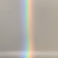 さくちんさんのアイコン画像