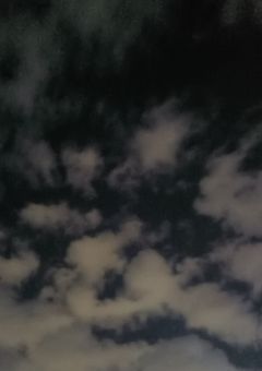 貴方には生きていて欲しかった（夢主死亡ネタ）