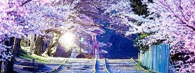 偏頭痛が辛い。さんの壁紙画像