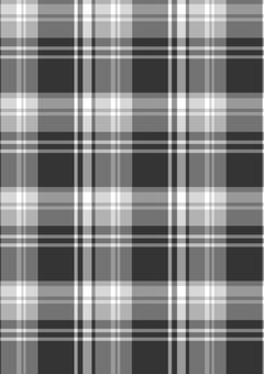 @･･𝔗𝔄𝔊-♥🕸ྀི