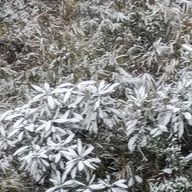 유나さんのアイコン画像