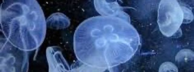 斗亜＠さんの壁紙画像