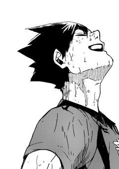 HQ : 道端の猫拾いました