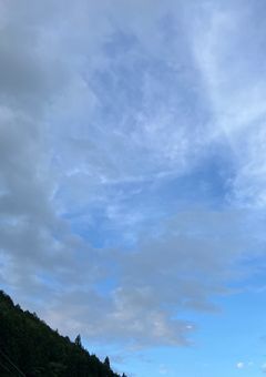 実況者体調不良・奇病