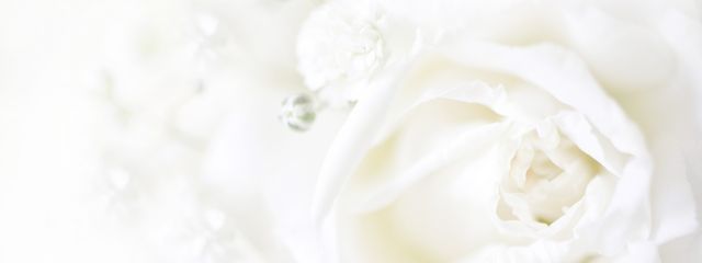 HiMENAGiさんの壁紙画像