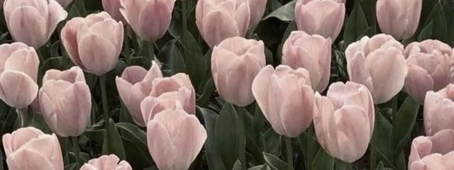 　　　　　　　　　海月　ྀིさんの壁紙画像