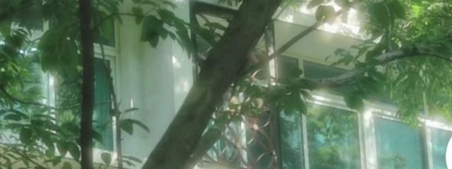 nana民さんの壁紙画像