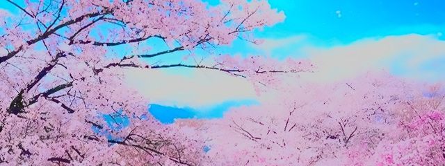 作者の神魔さんの壁紙画像