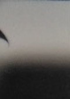 オタクの皆と語りたい(