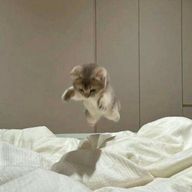 ひなさんのアイコン画像