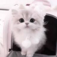 ♪さんのアイコン画像