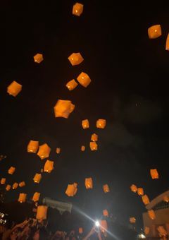 tsz写真集‎₊˚✩⊹