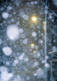 雪の舞う頃に出逢った貴方