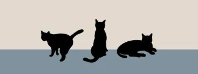 Loveサーモンさんの壁紙画像