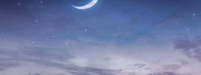 紫乃さんの壁紙画像